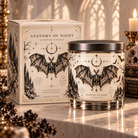 Anatomy of Night - A Study in Gothic Stillness